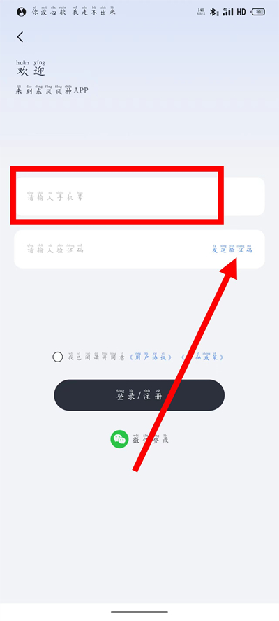 �������app����