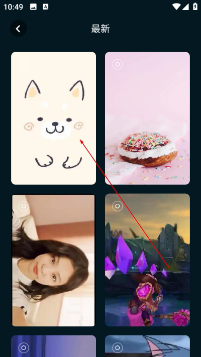 ��ֽ������