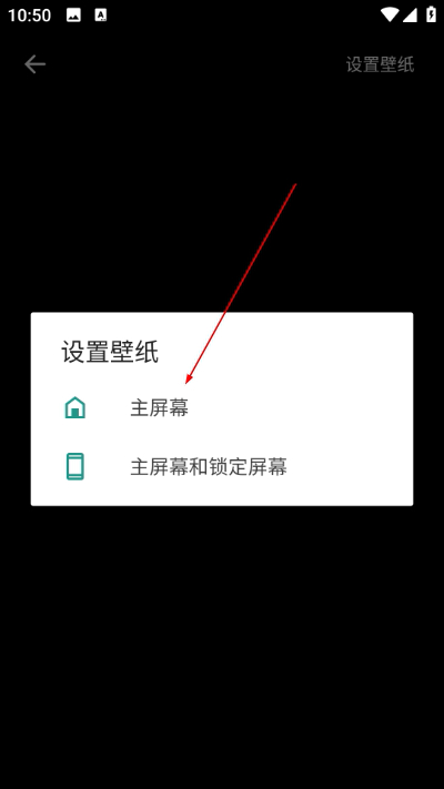 ��ֽ������