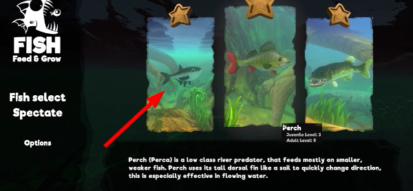 ���״���ɱ���İ�