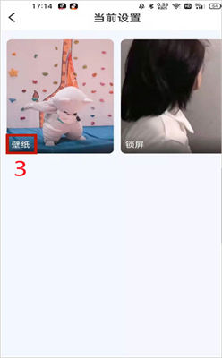 ��Ƶ����������app����