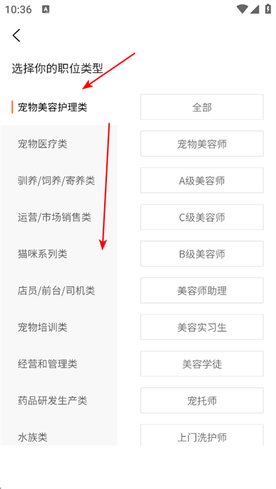 �Գ�������