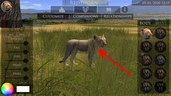 �ռ�ʨ��ģ����2�޵а�