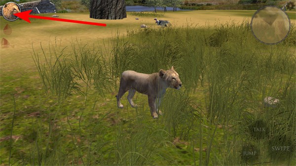 �ռ�ʨ��ģ����2�޵а�