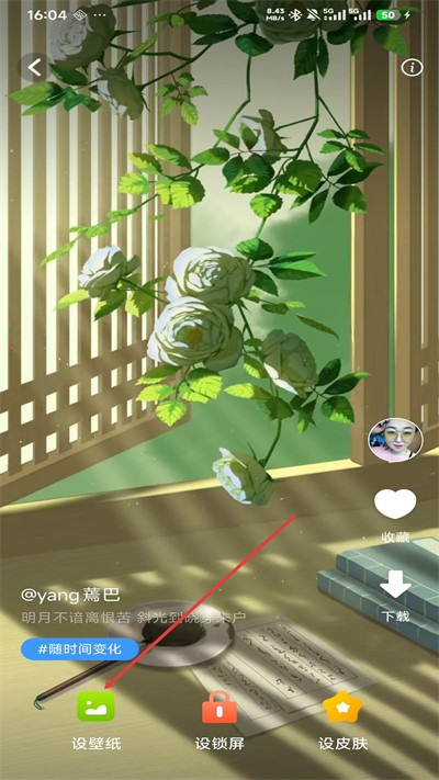 �ǿ�͸����ֽApp