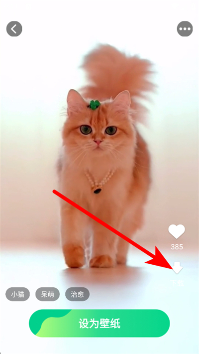 ���嶯̬��ֽapp