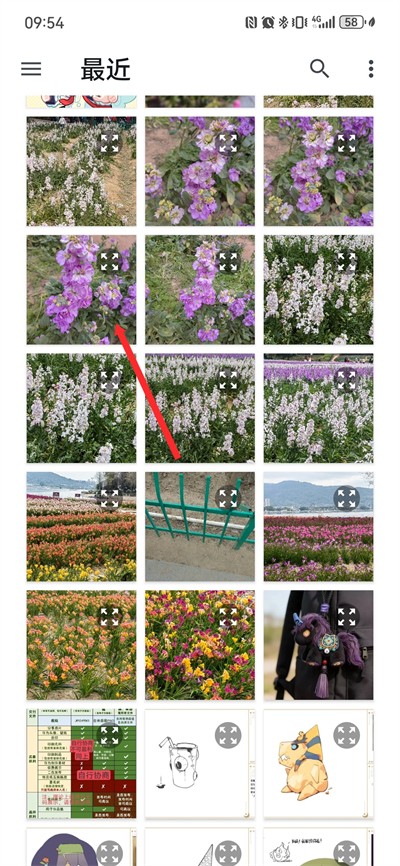 ��ɫ��ɫ����