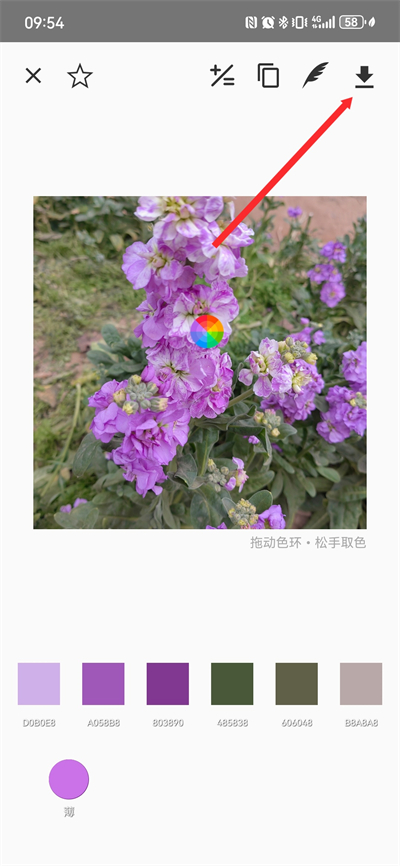 ��ɫ��ɫ����