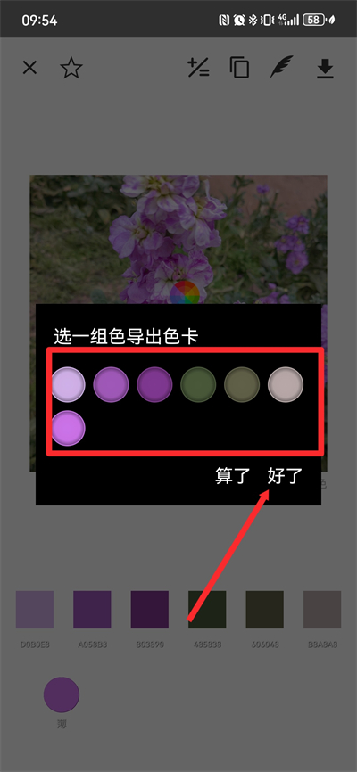 ��ɫ��ɫ����