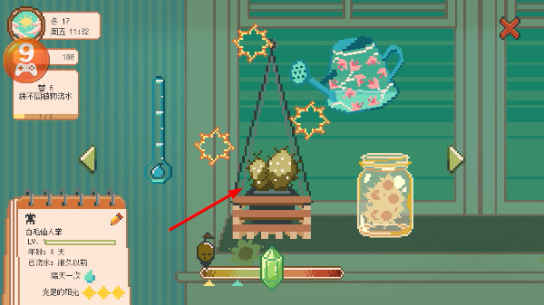 ���߻�԰�������°汾