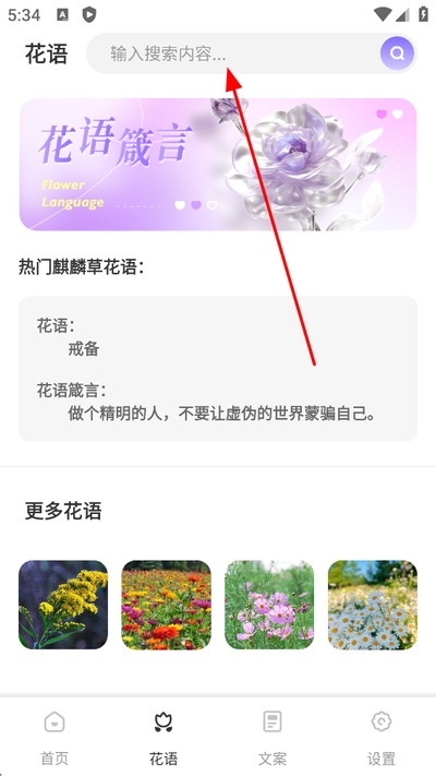 Ǣ̸��������