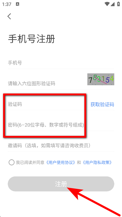 ��������ͣ��