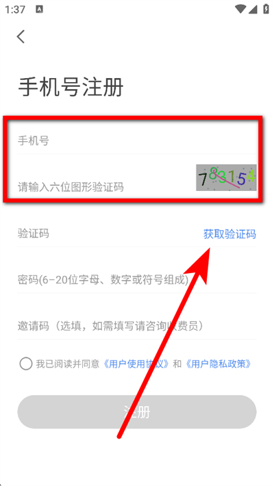 ��������ͣ��