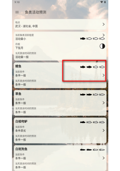 ��ʱ������Ѱ�