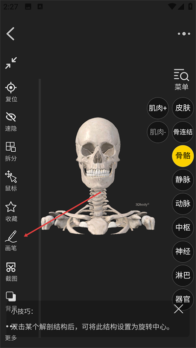 3Dbody����app���°�