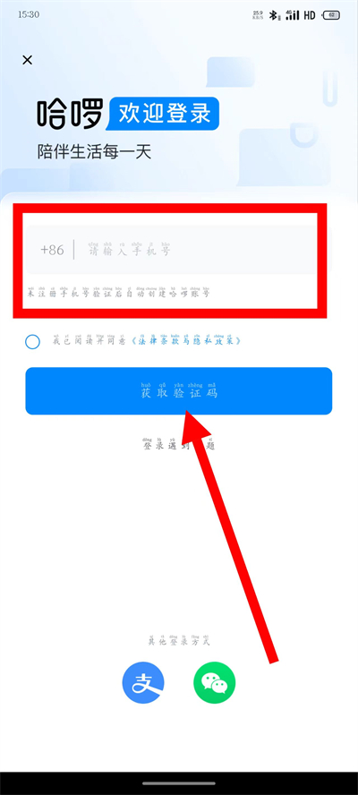 �����������°汾