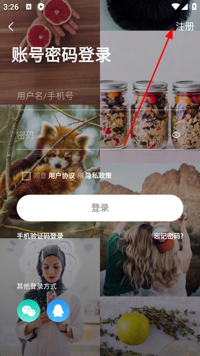 ���ʳ�����̳�ֻ���