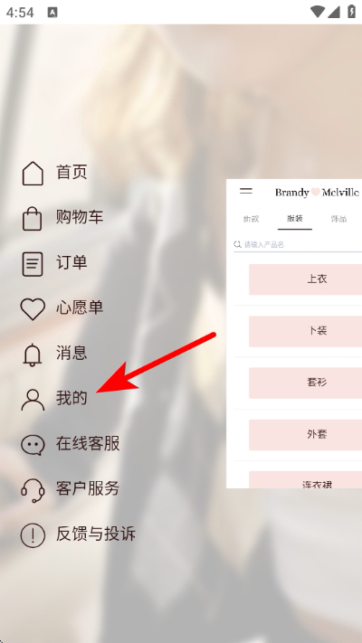 BrandyMelville app