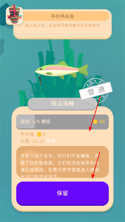 �ҵĵ�����������