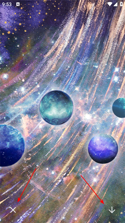 ���������ֽapp