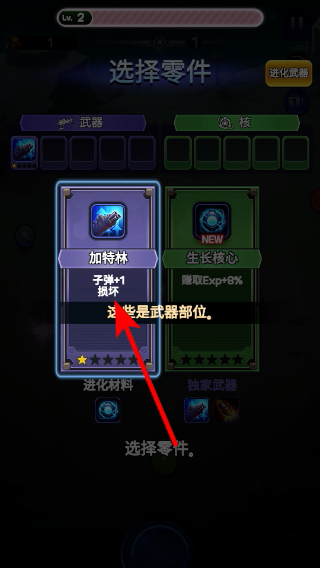 �������޹���