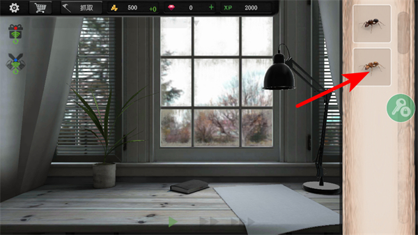 ����ģ�������İ�