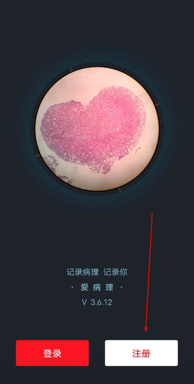 �������ֻ���