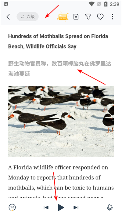 ����Ӣ���Ķ����°汾