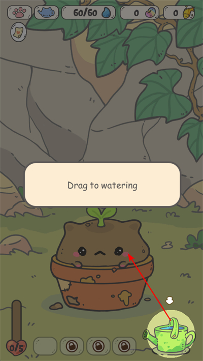 �ҵ�è���������İ�