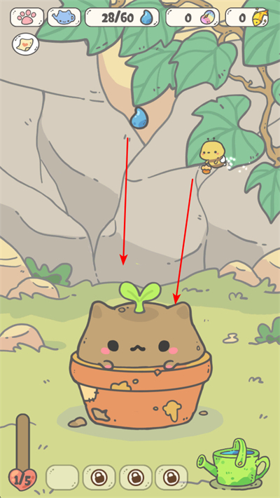 �ҵ�è���������İ�