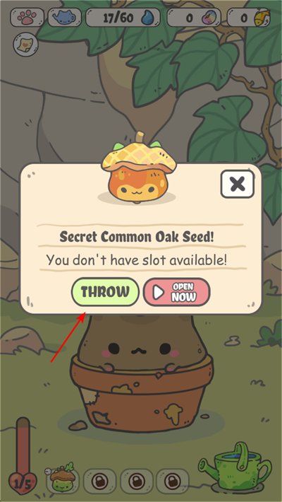 �ҵ�è���������İ�