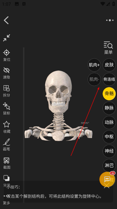 3dbody����ͼ