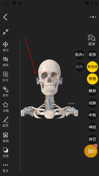 3dbody����ͼ