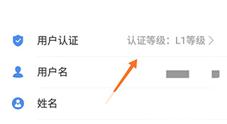 ɽ���������