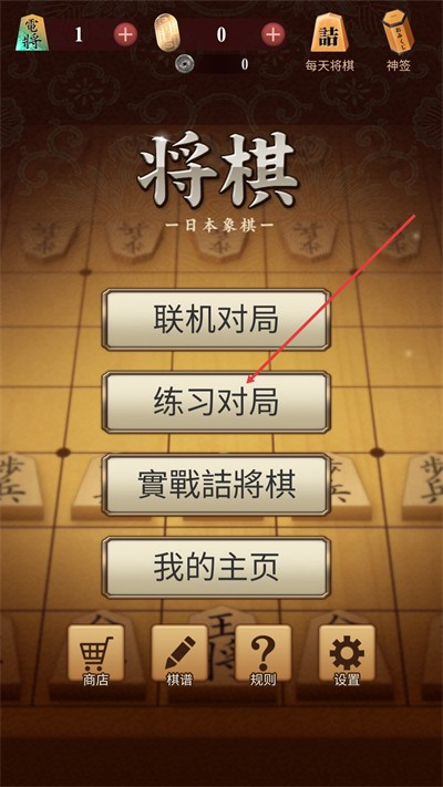 �ٶͽ������İ�(Shogi)