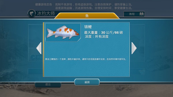 ������ʦ���İ�