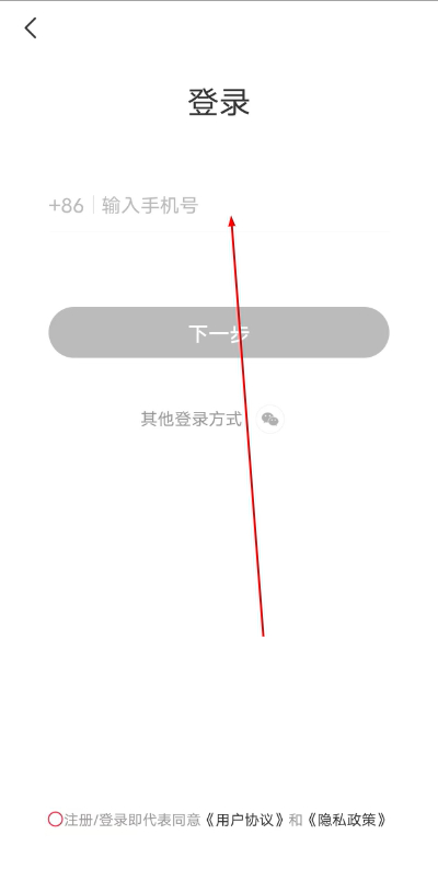 ������ʳapp