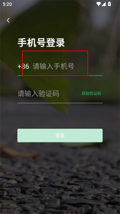 �ɶ��츮�̵��ٷ���