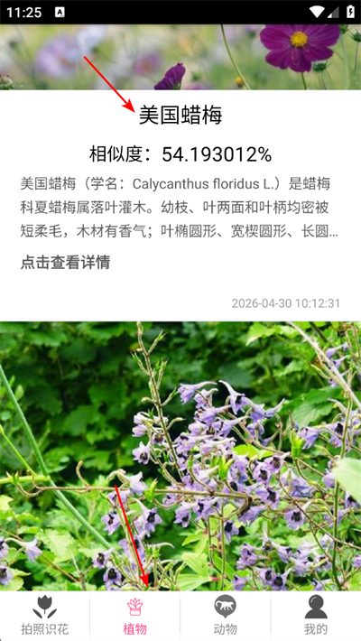 ����ʶ������app