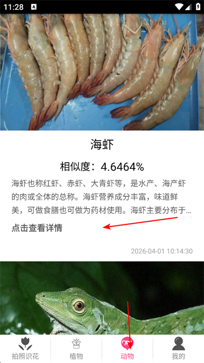����ʶ������app