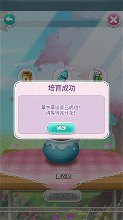 �ʻ�С������