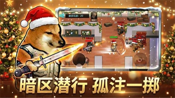 �޹������޾�Ӣ��������� v1.2 ��׿��1