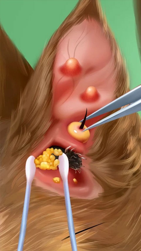 ���ҽԺ��ʲҽ�����°����� v1.0.143 ��׿��3