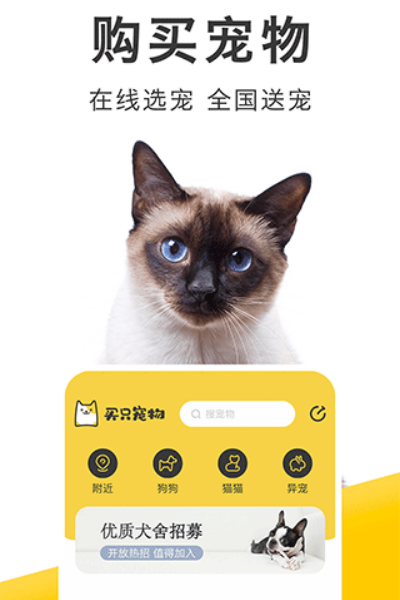 ��ֻ����ٷ����� v4.5.6��׿��3