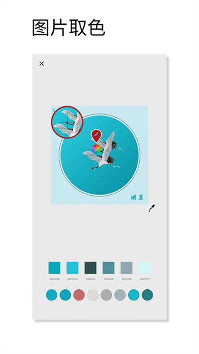 观色配色 v1.065 安卓版2