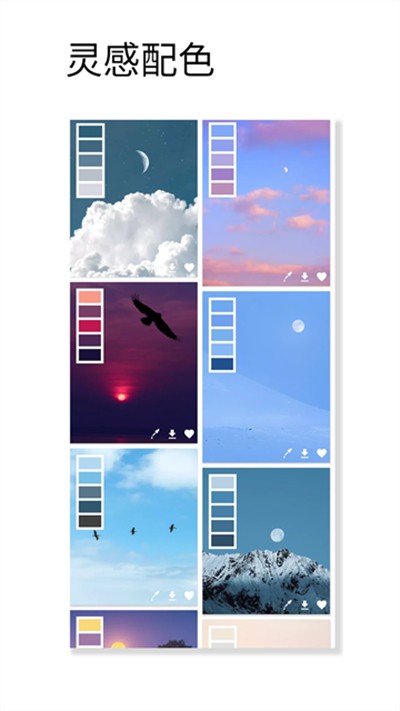 观色配色 v1.065 安卓版4