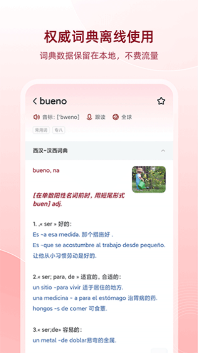 �����������ߴʵ� v25.12.2��׿��0