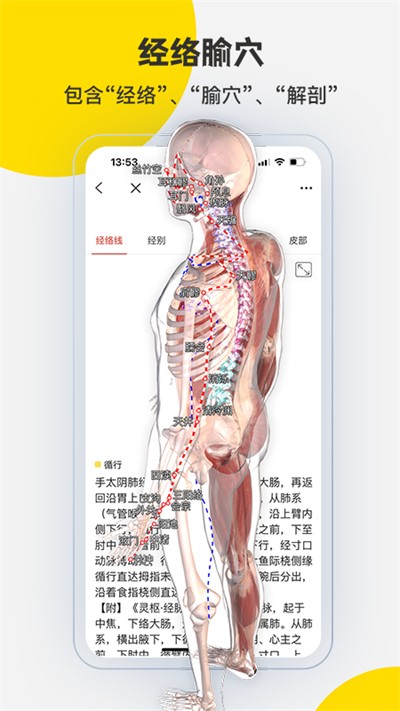 3Dbody����app���°� v8.8.83 ��׿��3