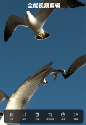 AI������� v16.0.320