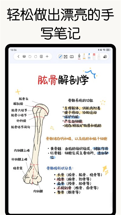 ���ɱʼ�app v3.4.0 ��׿��2
